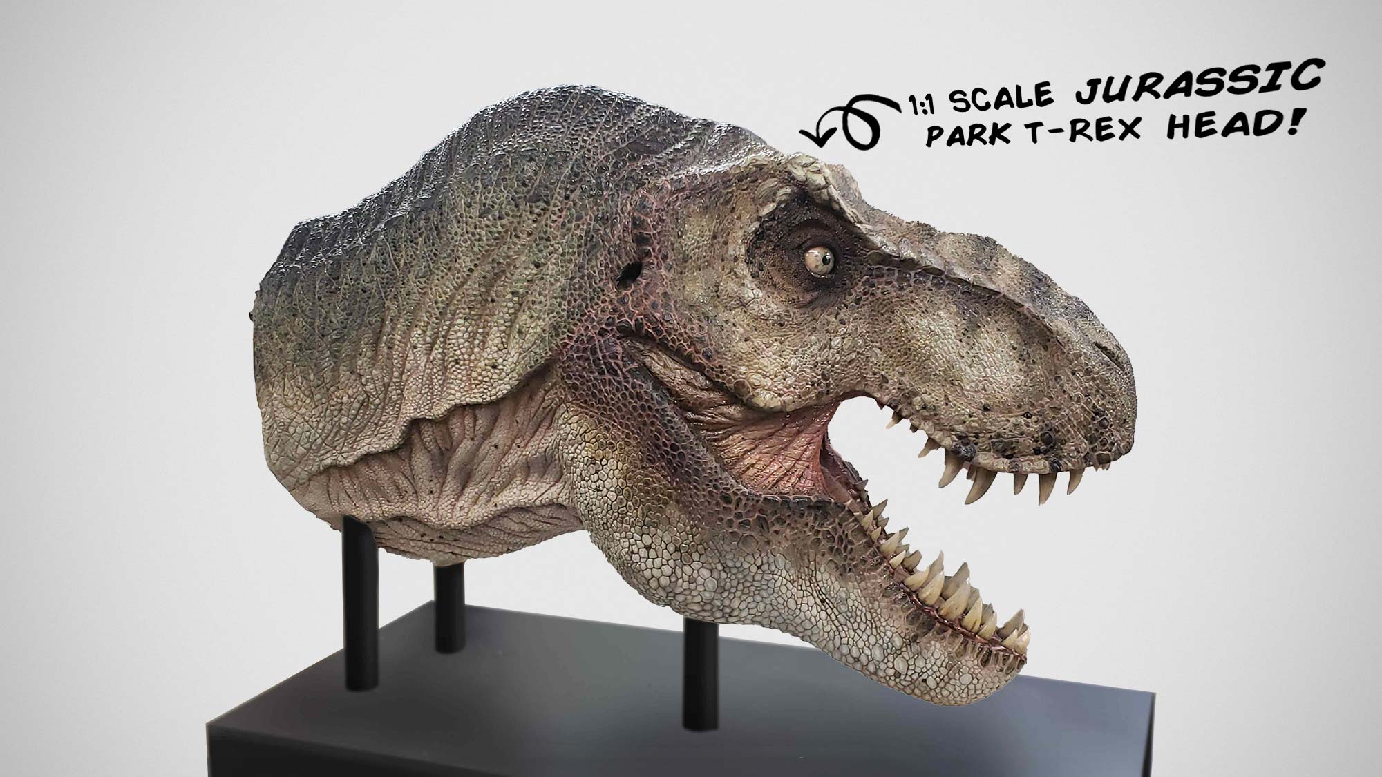 Tyrannosaurus Rex Head Jurassic Park Tyrannosaurus Rex Head Jurassic Park