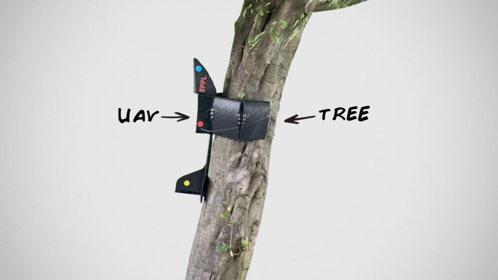 PercHug Crash-perching on Vertical Poles Drone