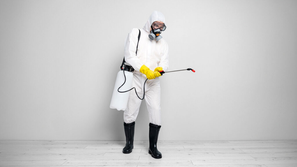 Why DIY Pest Control May Not Be Effective