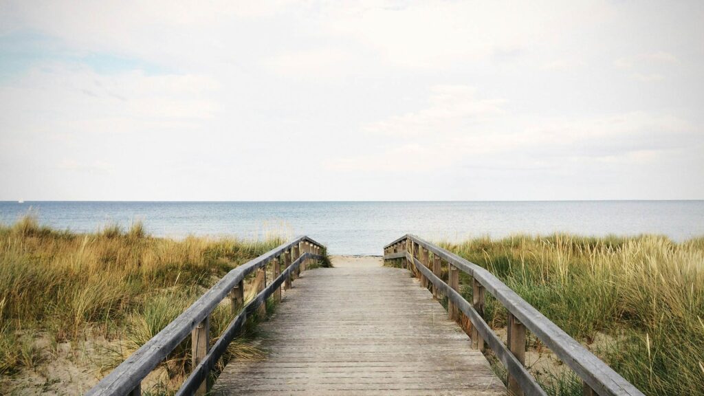 Embracing A Fresh Start By The Coast