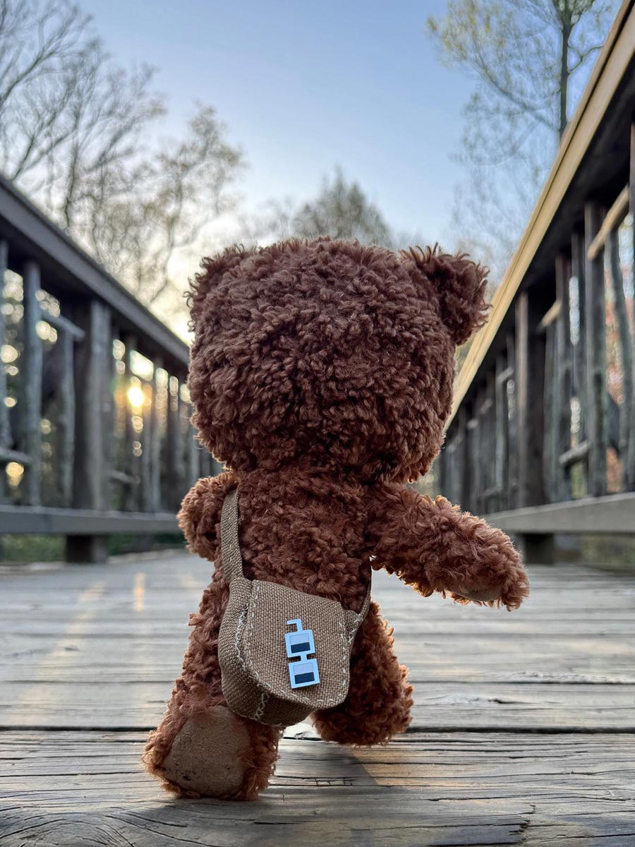 Here There Bear 10” Posable Bear