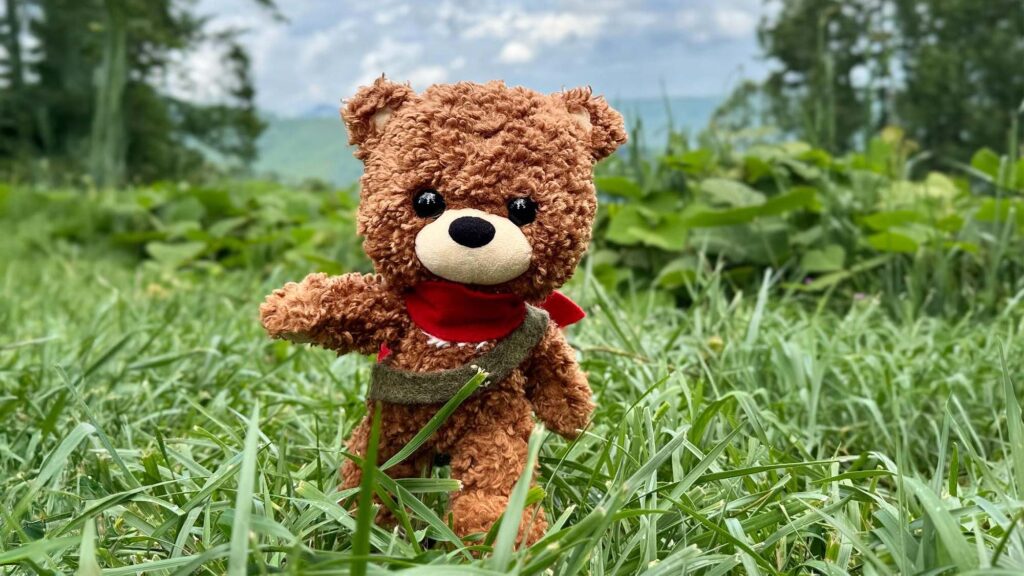 Here There Bear 10” Posable Bear