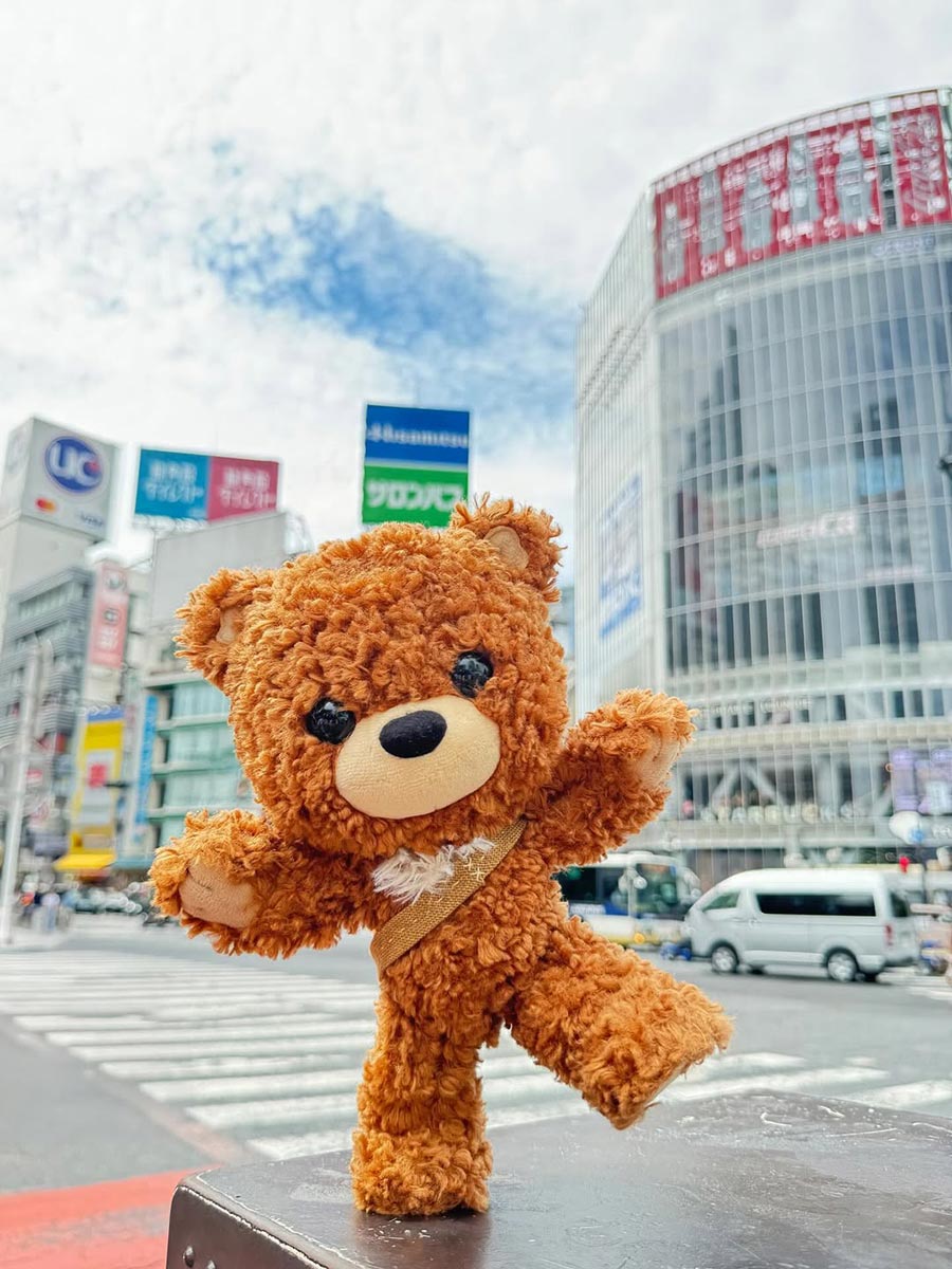 Here There Bear 10” Posable Bear