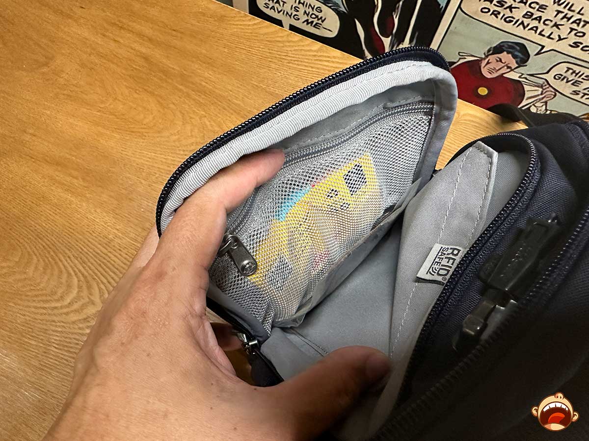 Pacsafe V Anti-theft Companion Crossbody Review