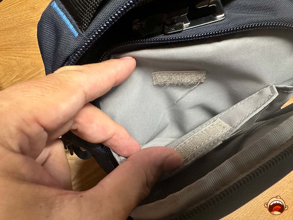 Pacsafe V Anti-theft Companion Crossbody Review