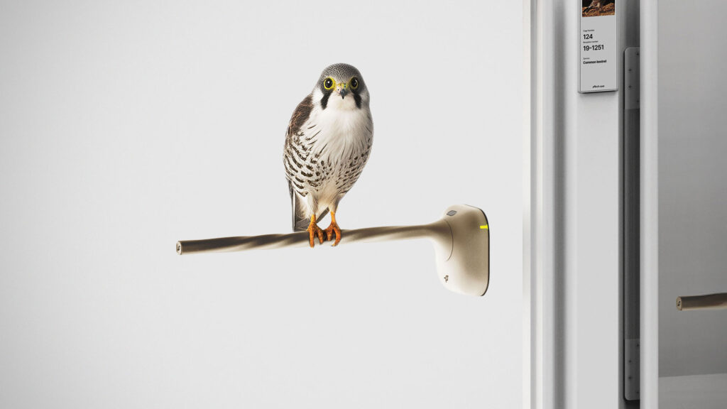 PerchCare Perch-style Weighing Scale for Birds