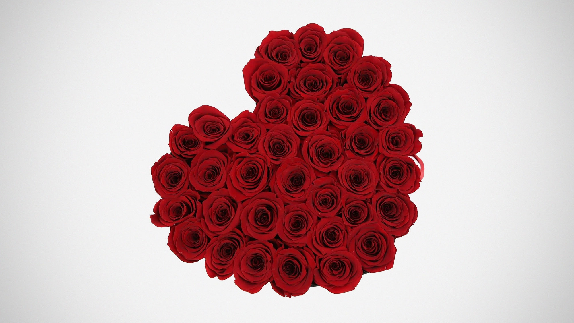 Why Forever Roses Have Become One Of Today’s Most Unforgettable Gifts