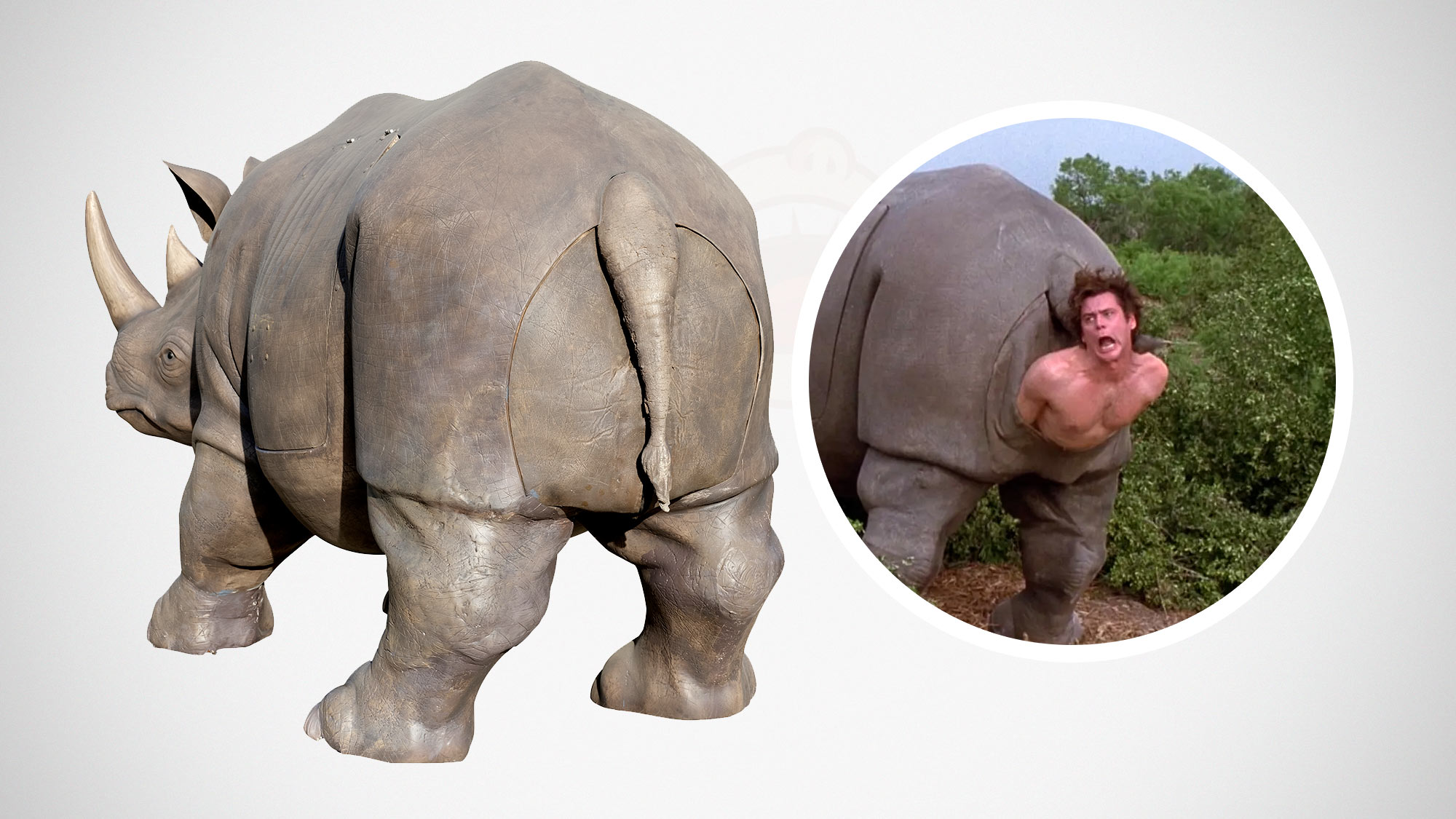 Planet Hollywood Collection Ace Ventura Oversized Mechanical Butt Birth Rhino