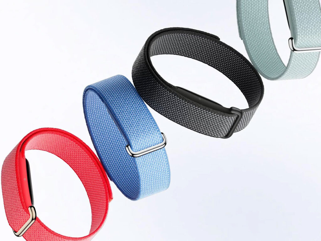 Google Fitbit Air Fitness Band