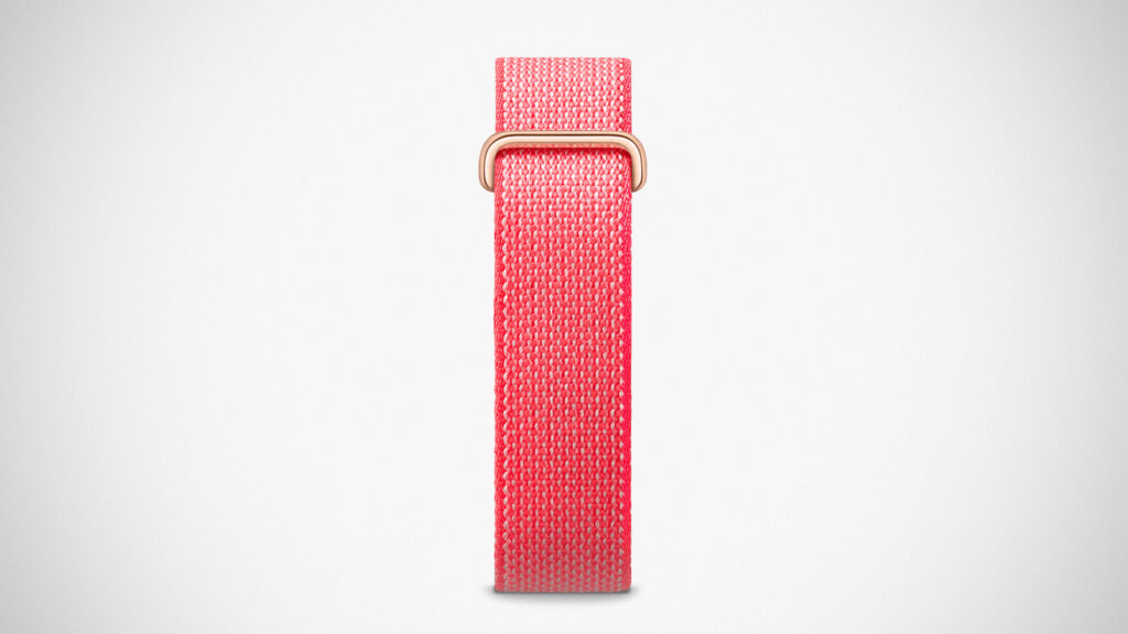 Google Fitbit Air Fitness Band