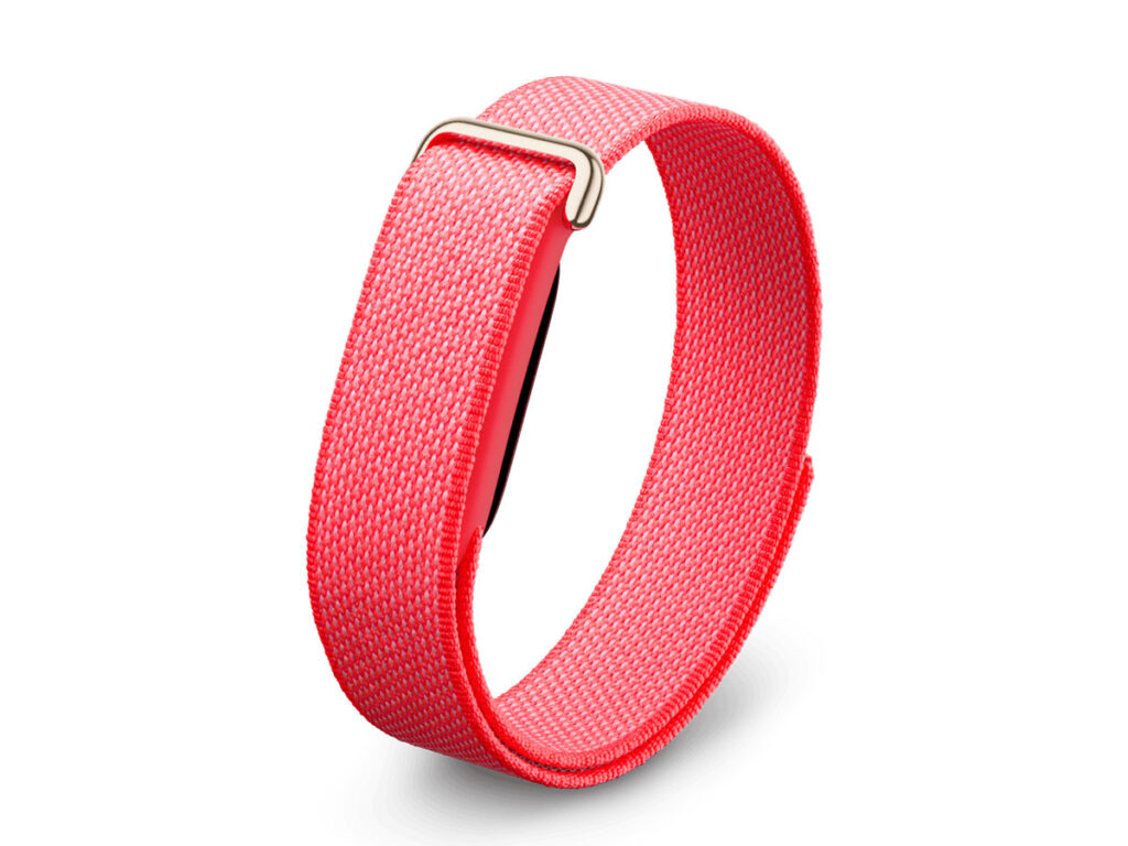 Google Fitbit Air Fitness Band