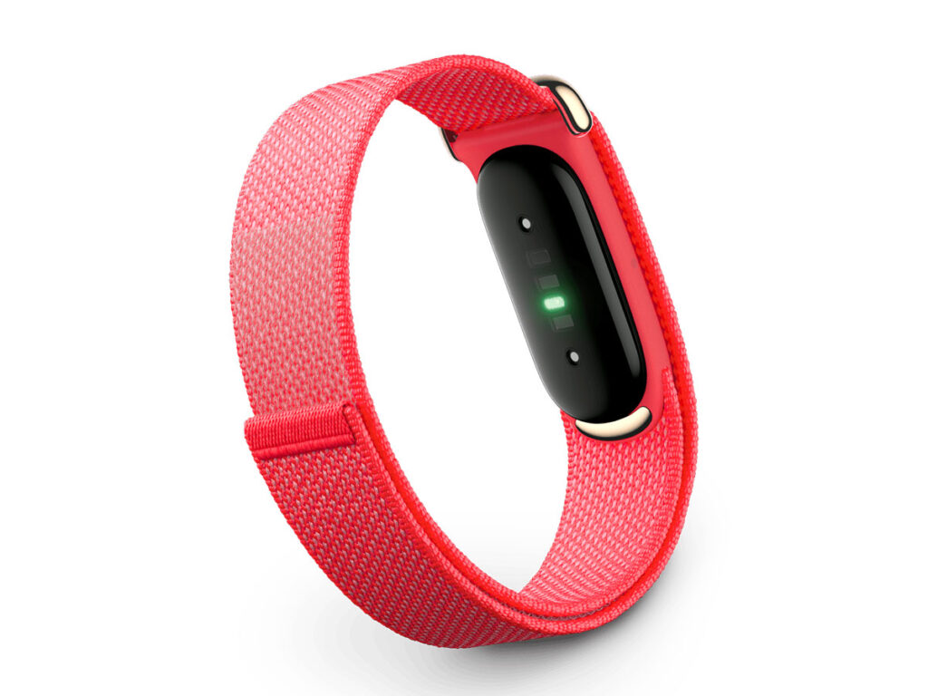 Google Fitbit Air Fitness Band