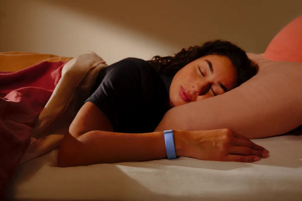 Google Fitbit Air Fitness Band