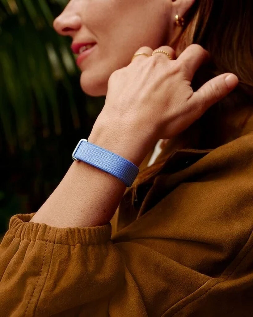 Google Fitbit Air Fitness Band