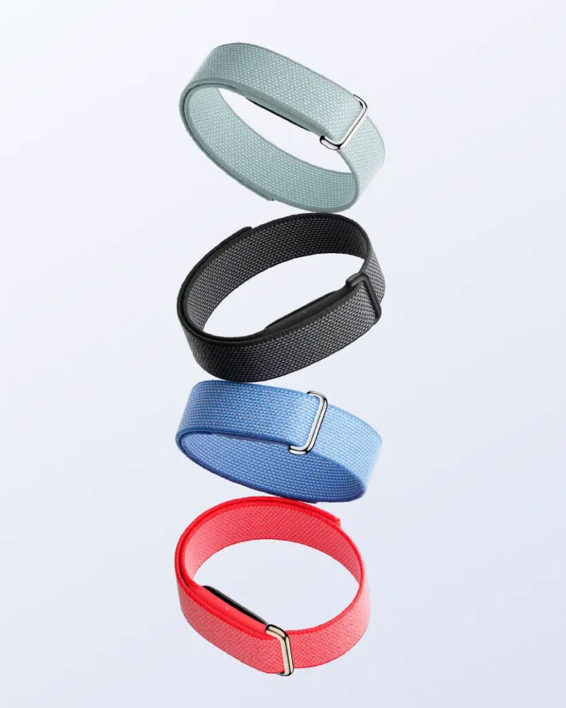 Google Fitbit Air Fitness Band