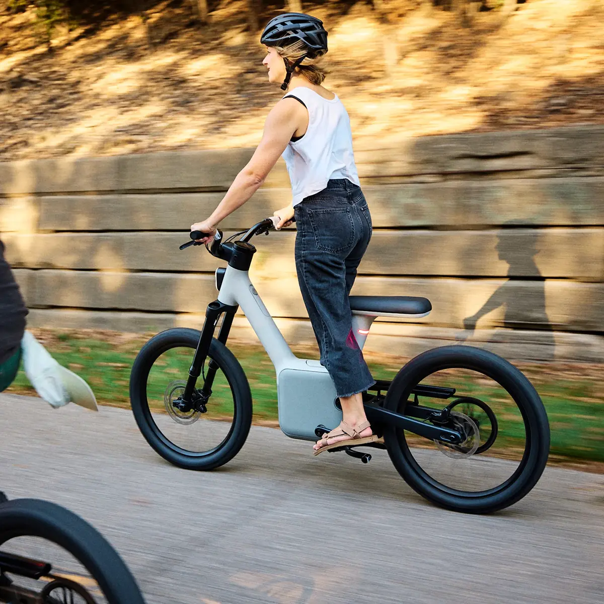 ALSO TM-B Electric Bicycle Pre-order