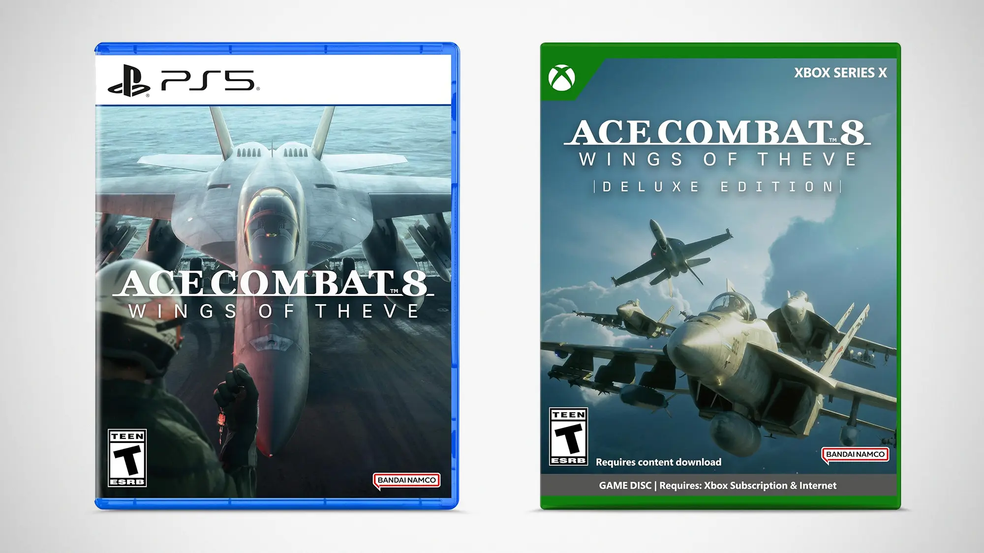 Ace Combat 8 Wings of Theve Video Game