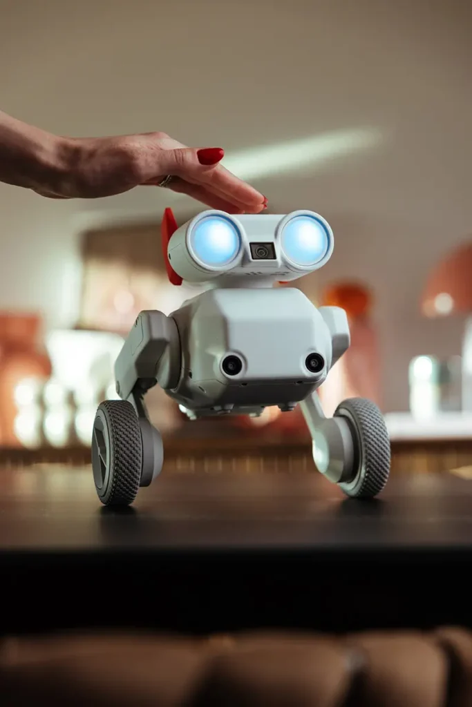 Beni Camera Robot by Mondo Robotics
