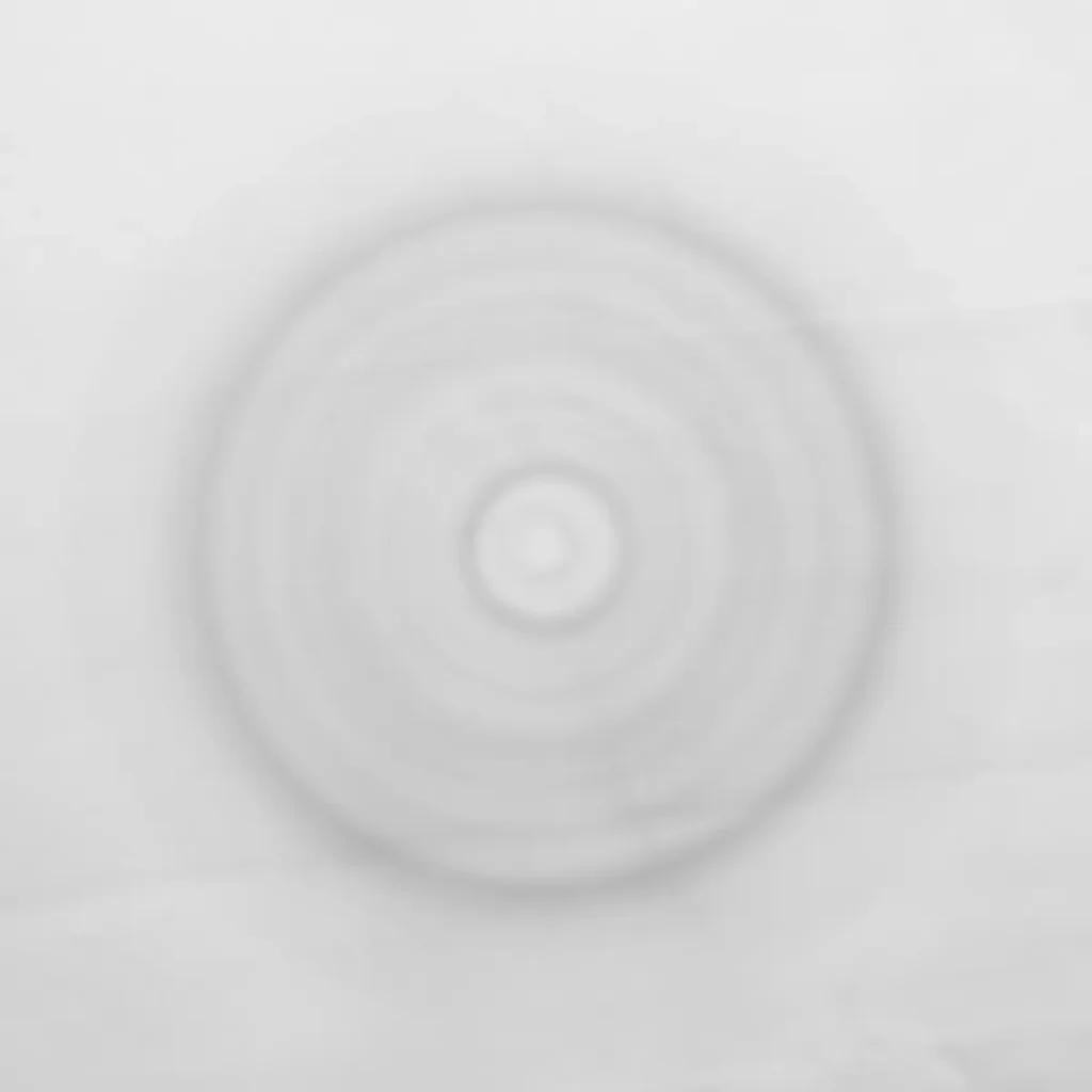 Northwestern University Phantom Twist Drone