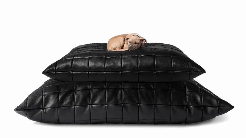 KILLSPENCER Oversized Floor Pillows