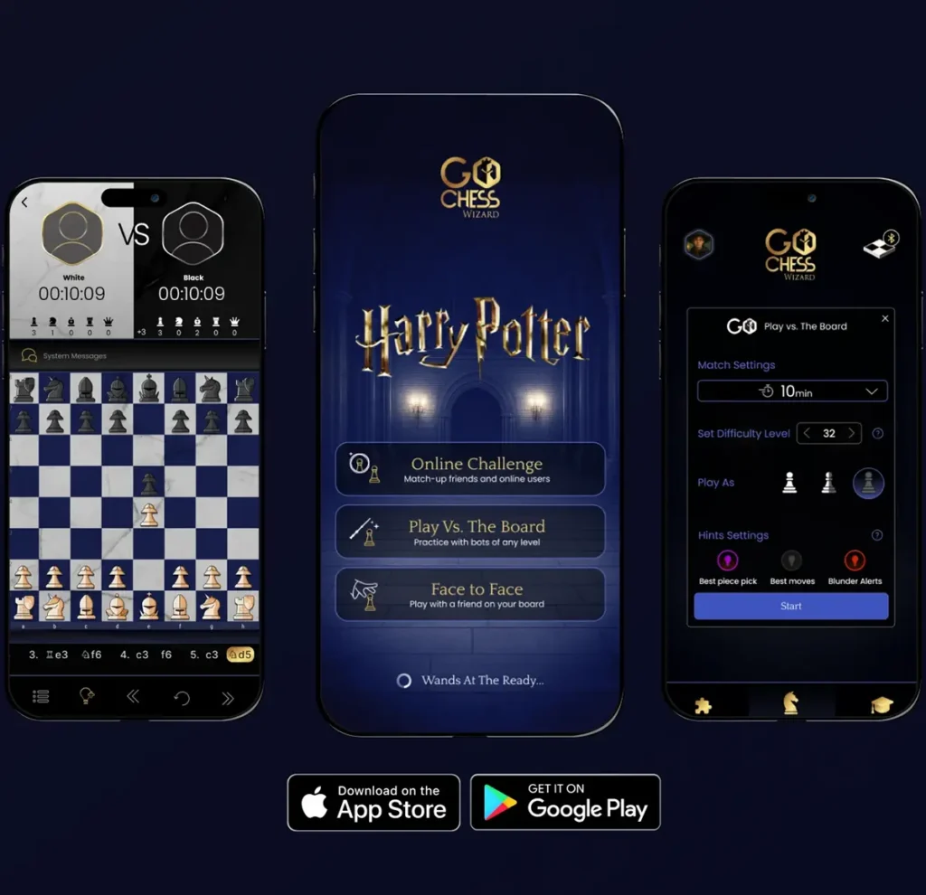 Harry Potter GoChess Wizard Alive