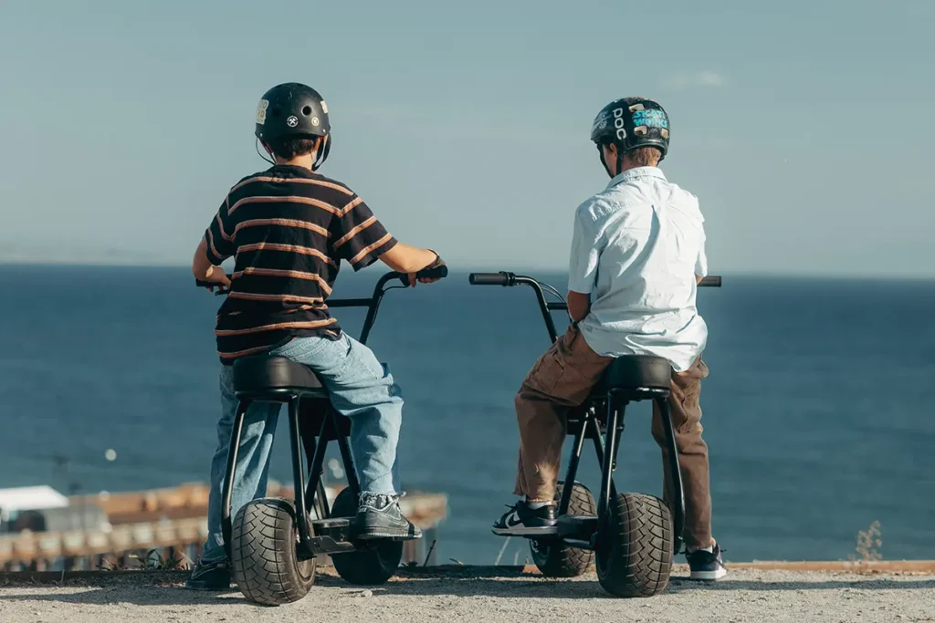 Antic Bikes Electric Mini-bike